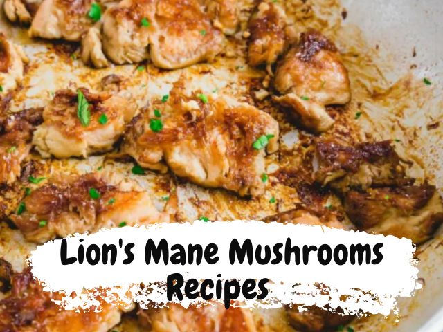 How to cook the lion's mane recipes