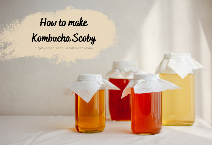 how-to-make-kombucha-scoby