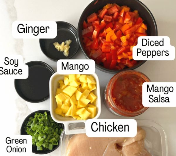 Ingredients used to make Slow Cooker Mango Chicken